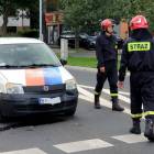 Fotka nr 5 z 7