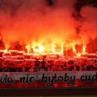 zdjęcie nr 12