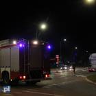 Fotka nr 2 z 12