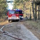 Fotka nr 4 z 14