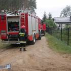 Fotka nr 2 z 6