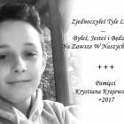 zdjęcie nr 41