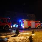 Fotka nr 4 z 12
