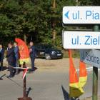 zdjęcie nr 15