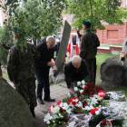 zdjęcie nr 33