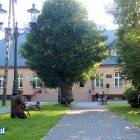 zdjęcie nr 58