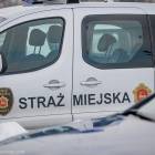Fotka nr 2 z 14