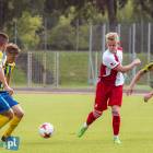 zdjęcie nr 31
