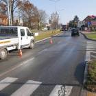 Fotka nr 4 z 6