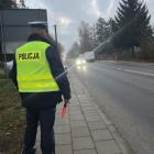 Fotka nr 4 z 9