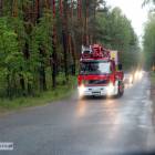 Fotka nr 4 z 15