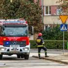 zdjęcie nr 48