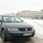 Fotka nr 5 z 7