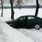 Fotka nr 2 z 3