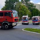 Fotka nr 3 z 7