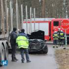 Fotka nr 5 z 9