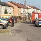 zdjęcie nr 9