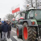 zdjęcie nr 22
