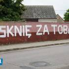 Fotka nr 2 z 6