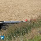 Fotka nr 2 z 9