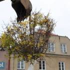 zdjęcie nr 13