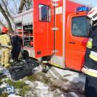 Fotka nr 2 z 19