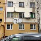 Fotka nr 5 z 7