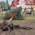 zdjęcie nr 9