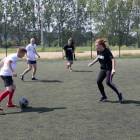Fotka nr 2 z 18