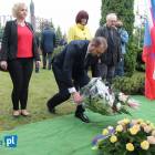 zdjęcie nr 25