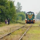 zdjęcie nr 8