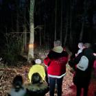 zdjęcie nr 21