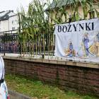 zdjęcie nr 31