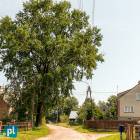 Fotka nr 5 z 18