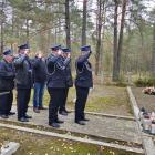 zdjęcie nr 31