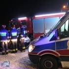 Fotka nr 3 z 11