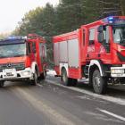 Fotka nr 5 z 9