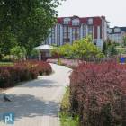 zdjęcie nr 17