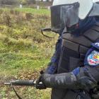 Fotka nr 2 z 15