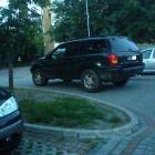 zdjęcie nr 41