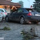 zdjęcie nr 7
