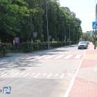 zdjęcie nr 10