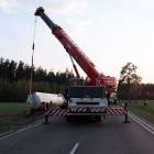 Fotka nr 2 z 12