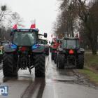 zdjęcie nr 19