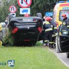Fotka nr 2 z 12