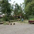 zdjęcie nr 15