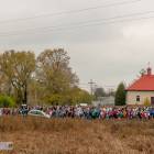 zdjęcie nr 35