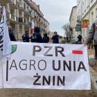 zdjęcie nr 19