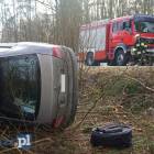 zdjęcie nr 7