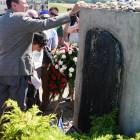 zdjęcie nr 30
